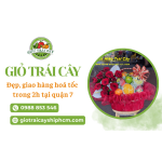 Hiếu Trái Cây - Cung cấp giỏ trái cây quận 7 đẹp, giao nhanh 2 giờ