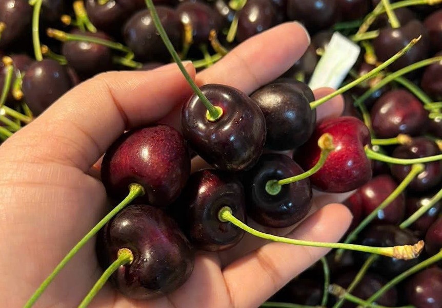 NÊN TẶNG GÌ SANG TRỌNG Ý NGHĨA ?